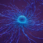 AI Mind: The Intersection of Artificial Intelligence and Human Cognition