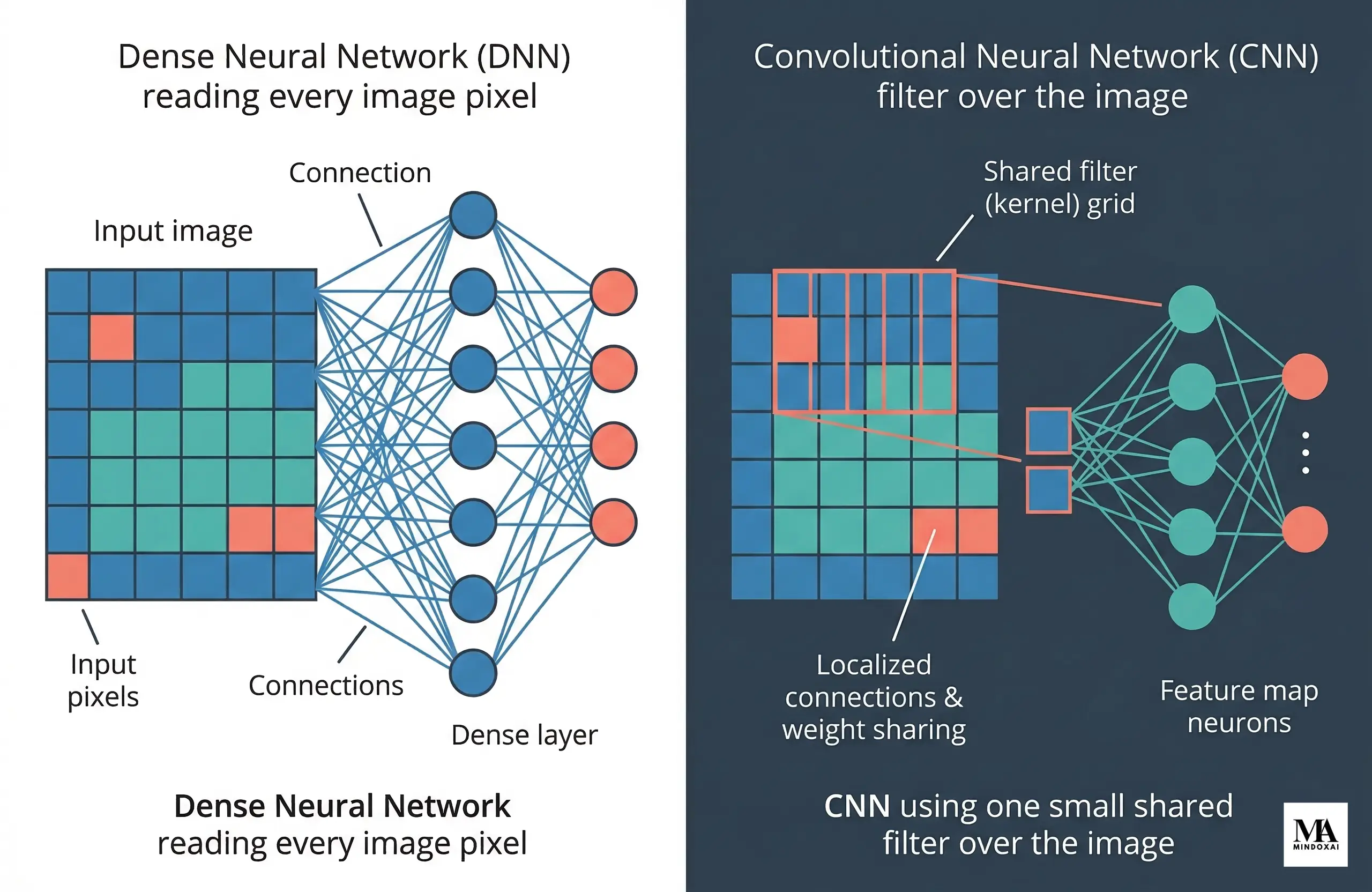 Comparison diagram showing a dense neural network reading every image pixel versus a CNN using one small shared filter across the image.